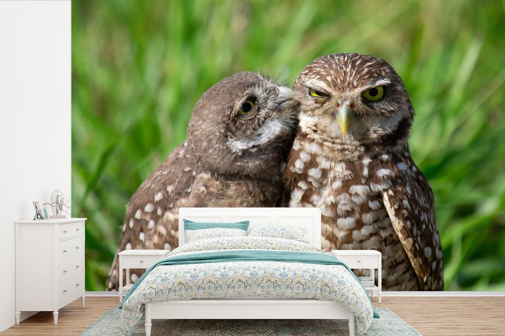 MuchoWow Fototapete für Wohnzimmer oder Schlafzimmer Wandtapete Vinyl Motivtapete Eulen - Vögel - Gras - 360x240 cm - Vinyl-Tapete