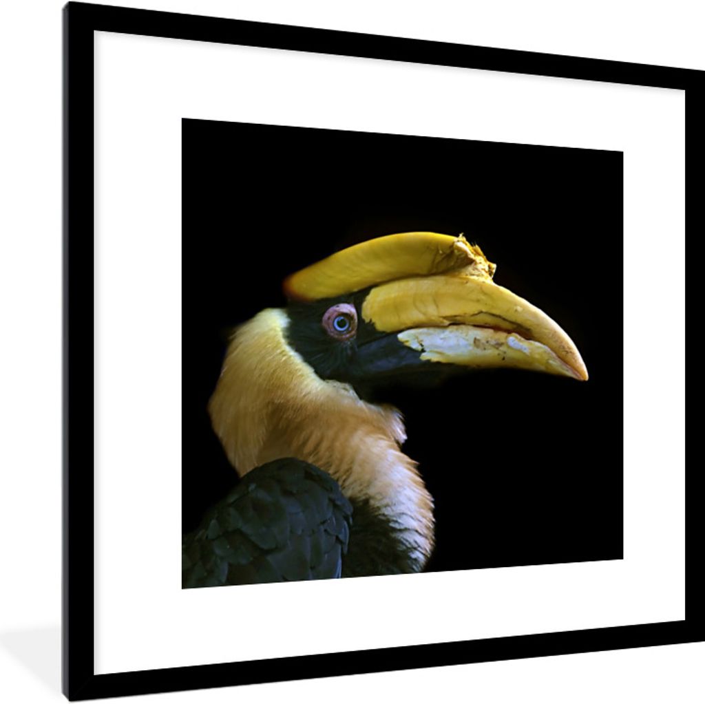MuchoWow Gerahmtes Poster Vogel - Schnabel - Schwarz 40x40 cm - Poster mit Schwarzem Bilderrahmen Wandposter Rahmen Foto Bilder
