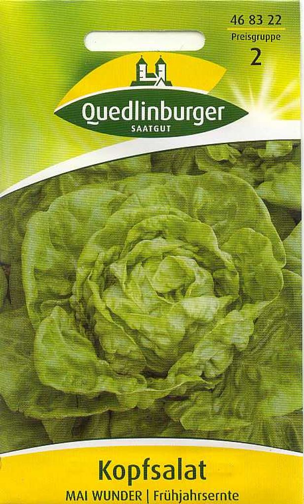 Quedlinburger Saatgut - Kopfsalat Mai Wunder - Samen - 468322