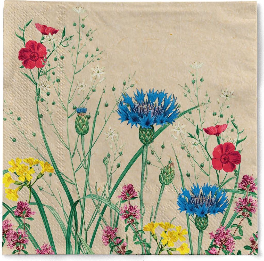 Tissue Serviette Edith, 40 x 40 cm, 3-lagig, 100 Stück - Mank