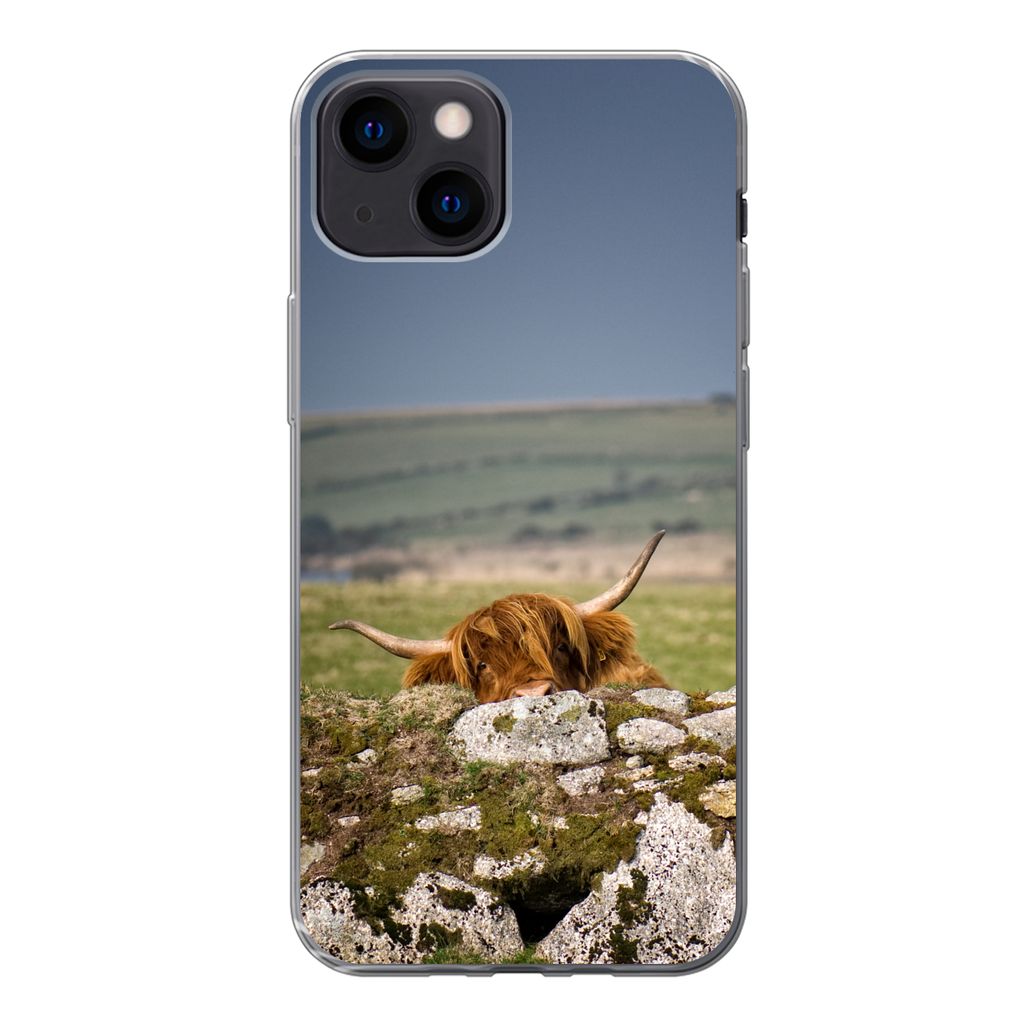 MuchoWow Handyhülle Schutzhülle Hülle für iPhone 13 mini Schottische Highlander - Steine - Gras Silikon Softcase Handy Hülle - Softcase