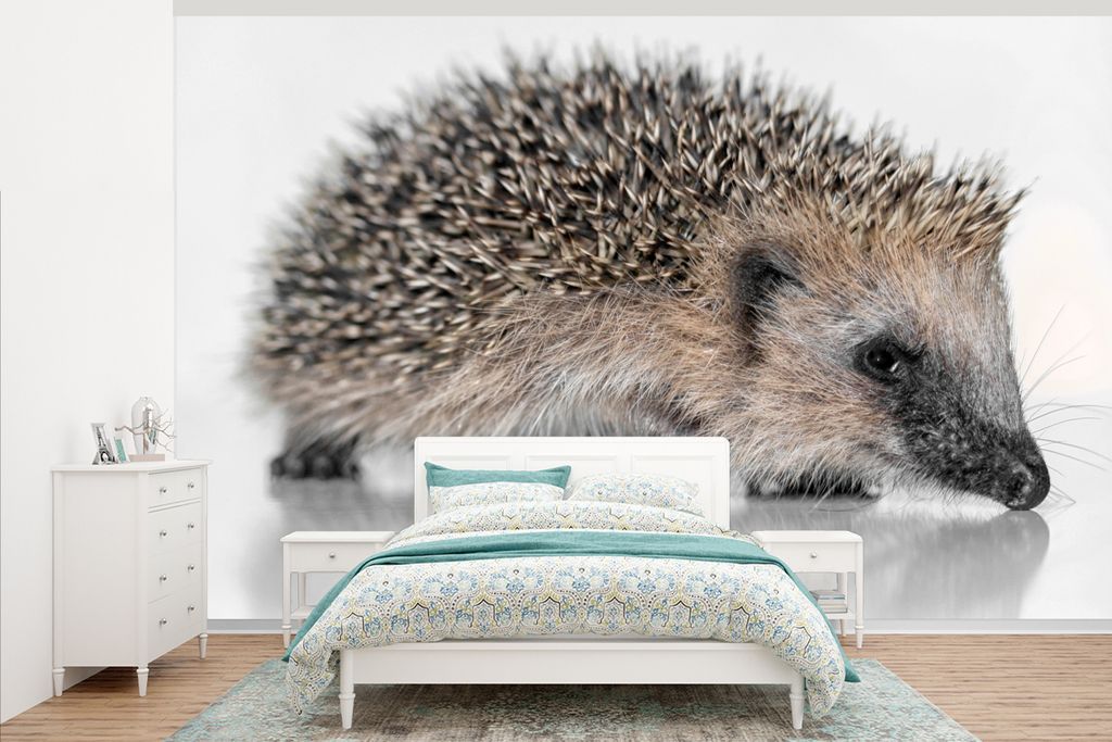 MuchoWow Fototapete für Wohnzimmer oder Schlafzimmer Wandtapete Vinyl Motivtapete Igel auf weißem Hintergrund - 375x240 cm - Wand Tapete