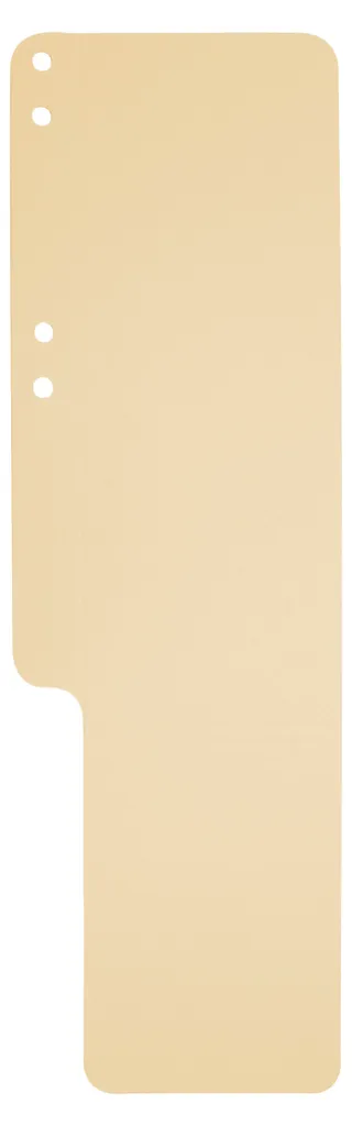 Exacompta 13722B Chemise à Queue Ivoire 320g 100x318mm - Lot de 100