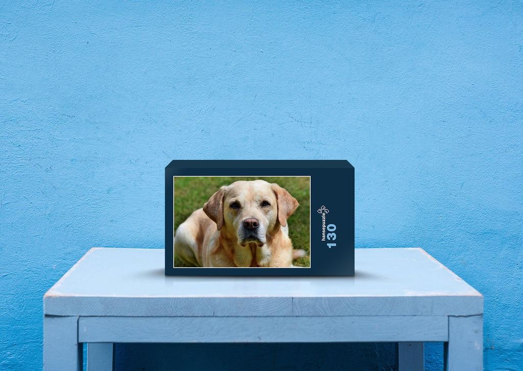hansepuzzle 34620 - Labrador Puzzle, 130 Teile, Tierwelt, 28,7 x 20,0cm mit hochwertiger Aufbewahrung, Kartonbox und wiederverschließbarem Beutel