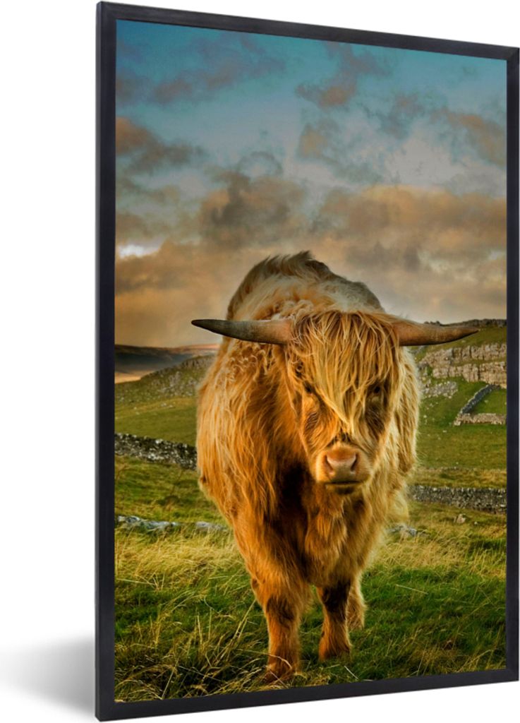 MuchoWow Gerahmtes Poster Schottischer Highlander - Gras - Berg 40x60 cm - Poster mit Schwarzem Bilderrahmen Wandposter Rahmen Foto Bilder - Papi...