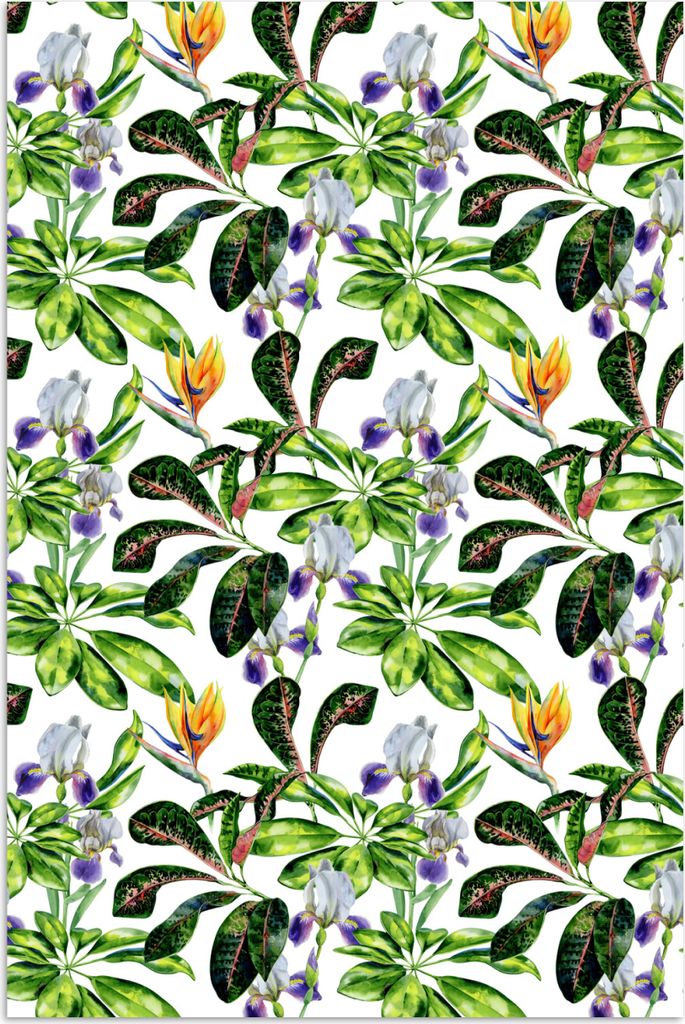 MuchoWow Poster Paradiesvogelpflanze - Blätter - Muster 40x60 cm - Plakate für die Wand - Poster Babyzimmer
