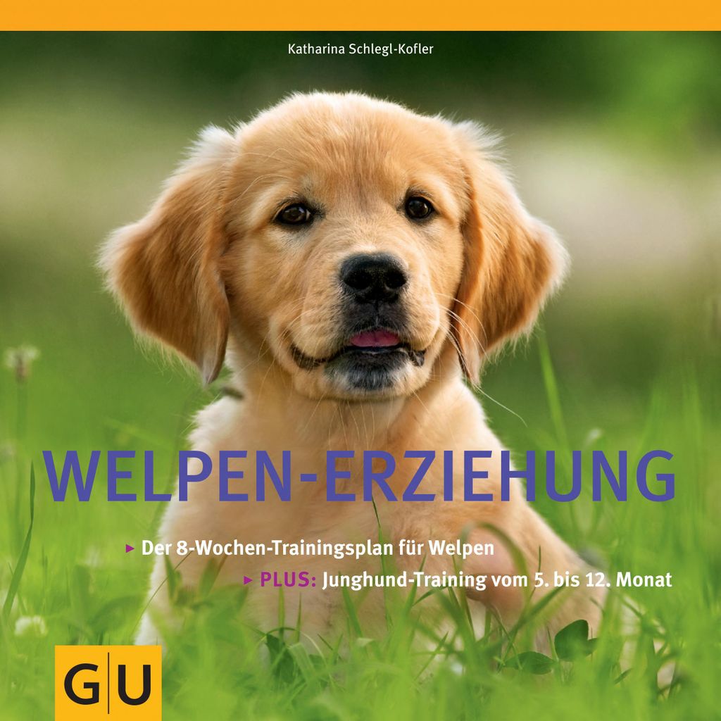 Welpen -Erziehung