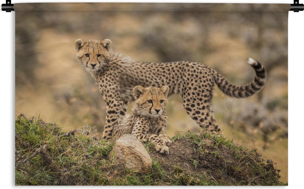 MuchoWow Wandteppich Wandbehang Leopard - Jungtier - Natur 120x80 cm Tapisserie Dekoration Wandtuch - Wanddekorationen - Wandtücher