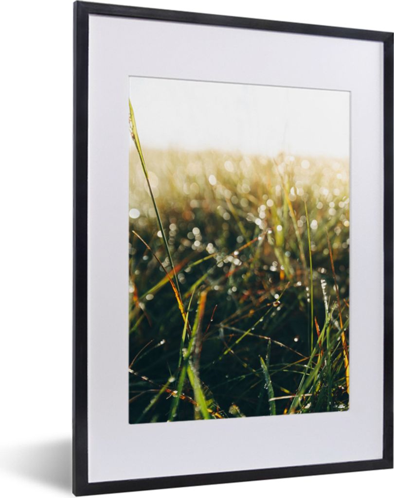 MuchoWow Gerahmtes Poster Rasenfläche - Pampasgras 30x40 cm - Poster mit Schwarzem Bilderrahmen Wandposter Rahmen Foto Bilder - Wandposter Schla...