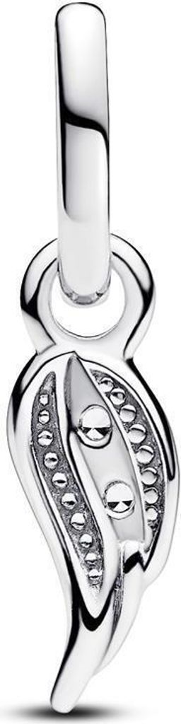 A close-up studio shot of a silver charm.