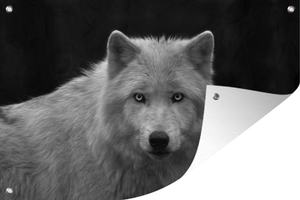 MuchoWow 120x80 cm Outdoor-Poster Gartendeko Sichtschutz Garten Poster für den Garten Starrender Lakota-Wolf auf schwarzem Hintergrund