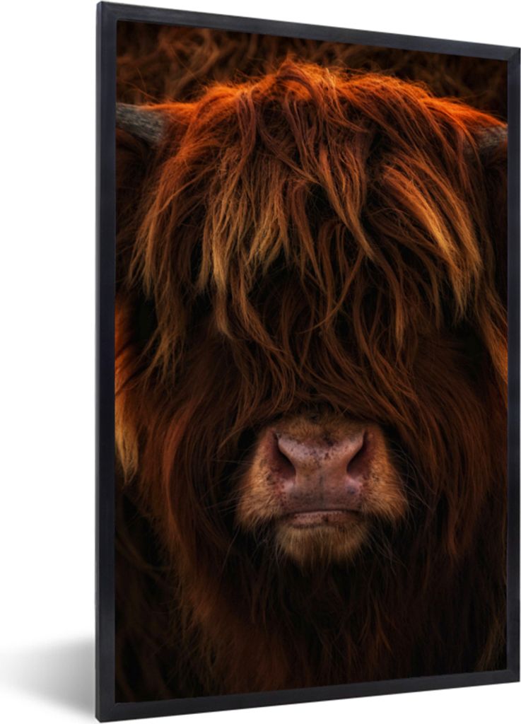 MuchoWow Gerahmtes Poster Schottischer Highlander - Kuh - Schwarz - Porträt 60x90 cm - Poster mit Schwarzem Bilderrahmen Wandposter Rahmen Foto ...