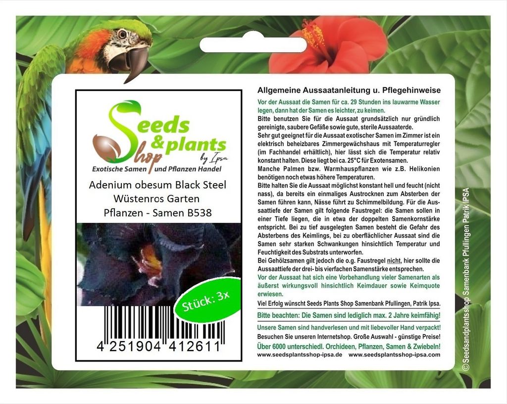 3x Adenium obesum Black Steel Wüstenros Garten Pflanzen - Produktbild 