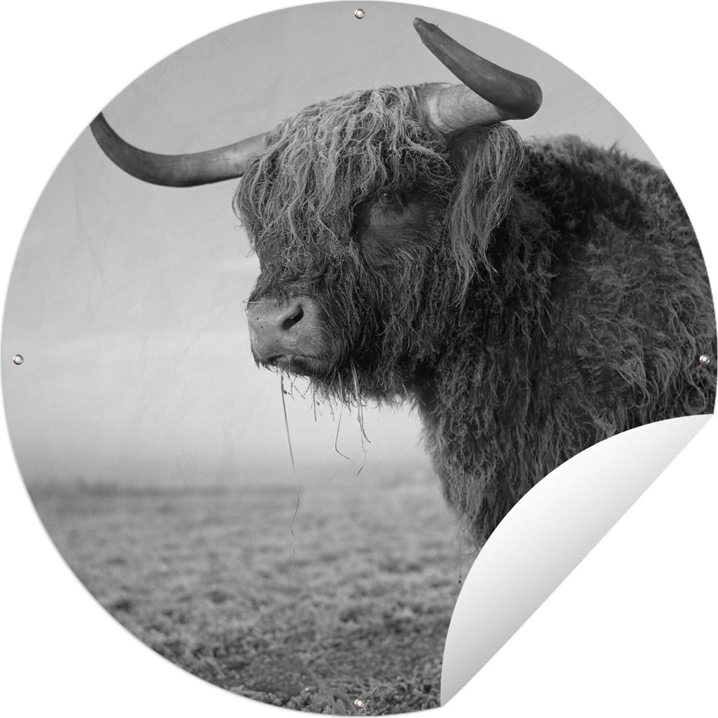 MuchoWow Gartenposter Outdoor-Poster Rund Nahaufnahme schottischer Highlander im Schnee - schwarz und weiß Ø 150 cm Gartendeko Rundes Poster dr...