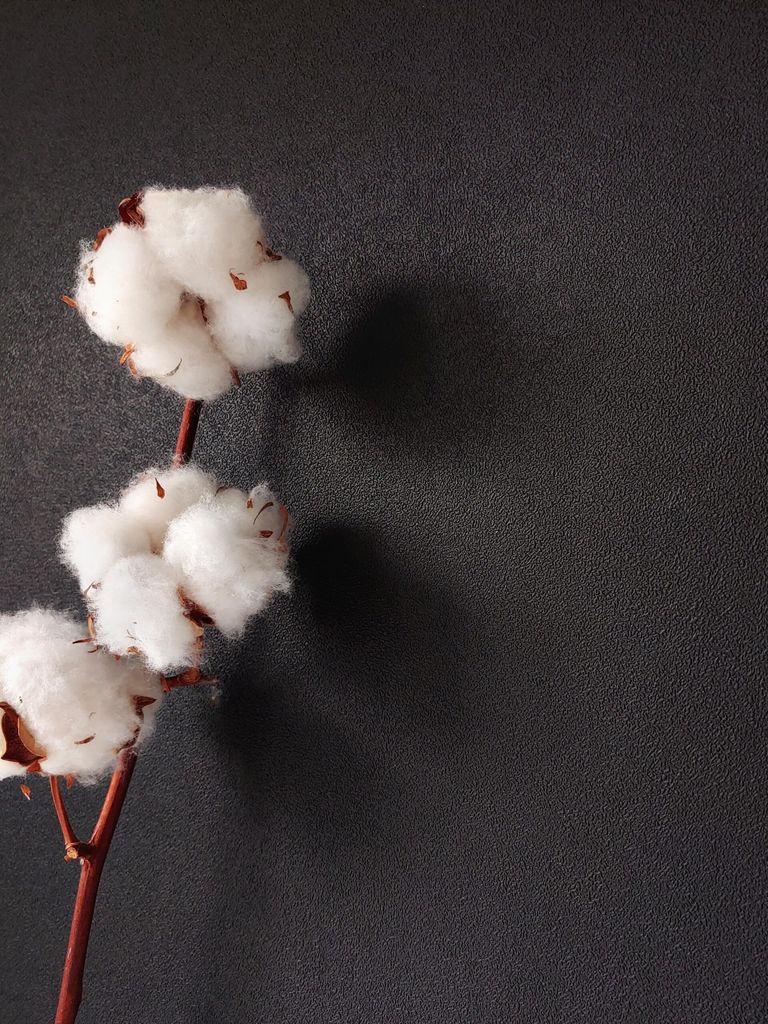 NEWROOM Tapete Schwarz Vliestapete Struktur - Einfarbig Uni Unifarbe Modern