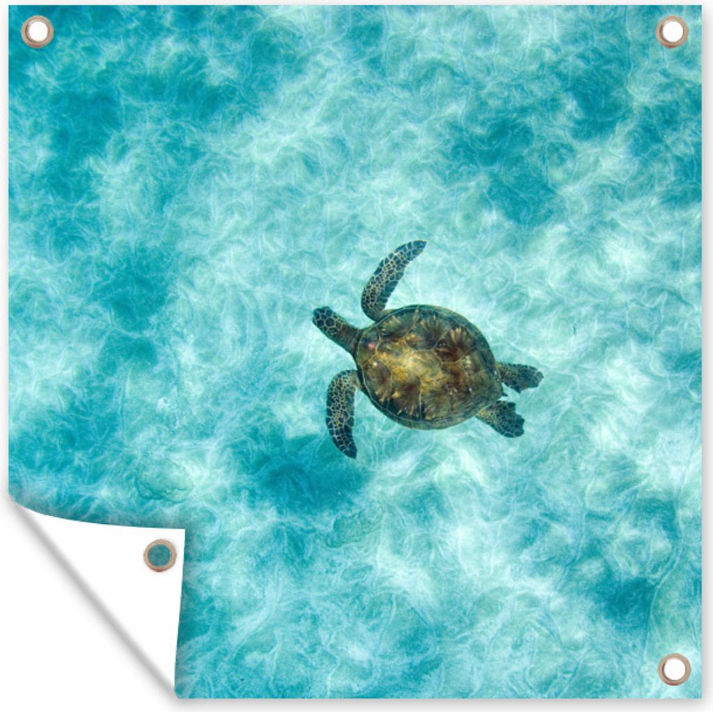 MuchoWow 50x50 cm Outdoor-Poster Gartendeko Sichtschutz Garten Poster für den Garten Schildkröte im Meer