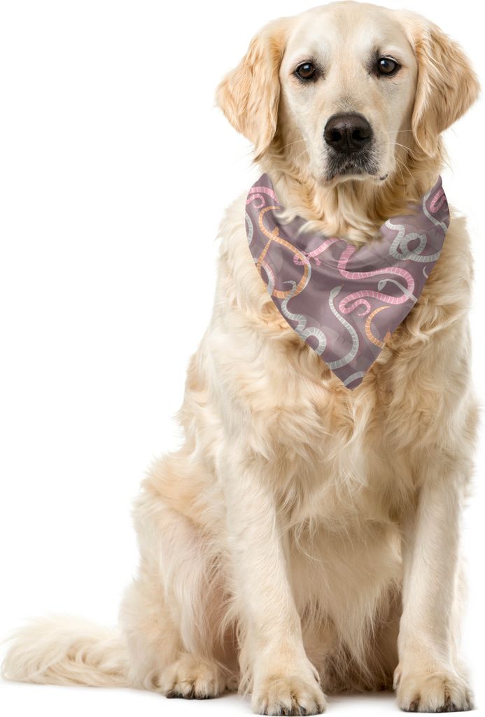 ABAKUHAUS Schlange Haustier Bandana, Amazonischen Fauna Kriechtier Kunst, 40x40 cm, Warm Taupe Staub