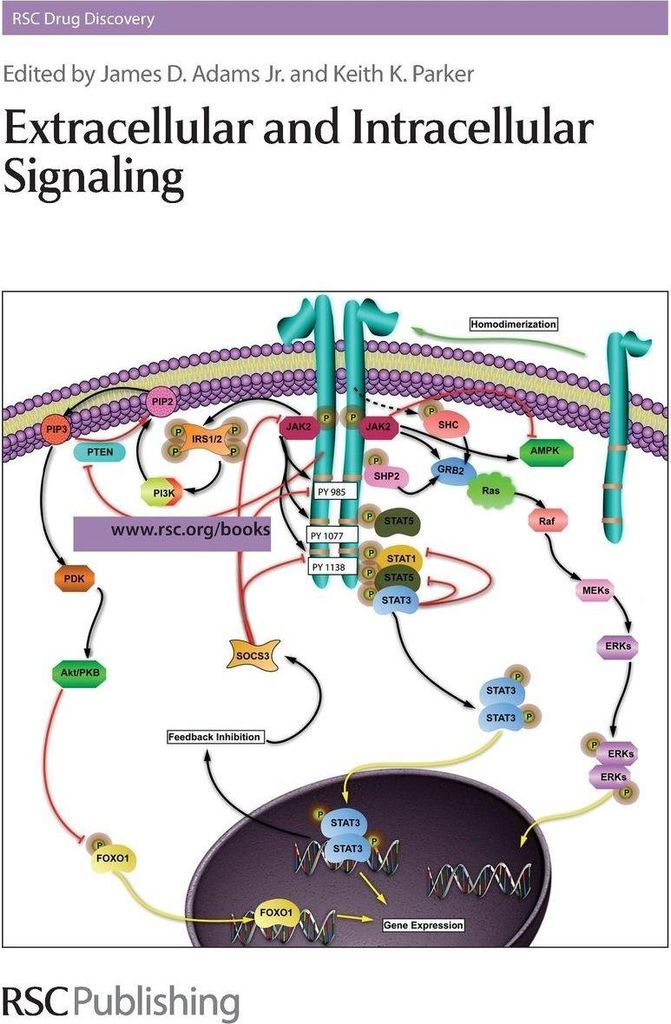 Extracellular and Intracellular Signaling