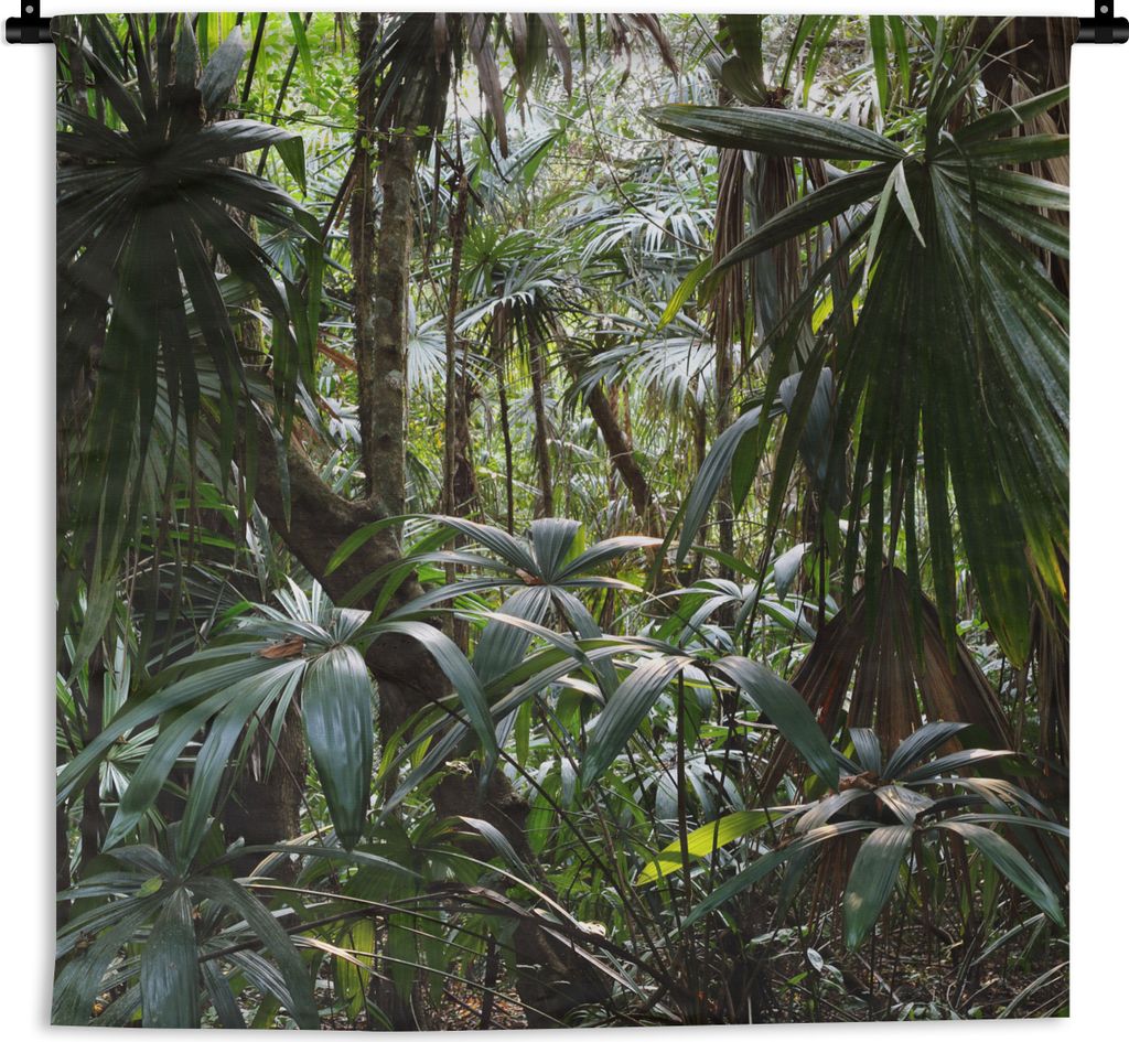 MuchoWow Wandteppich Wandbehang Pflanzen im Regenwald 60x60 cm Tapisserie Dekoration Wandtuch - Dekorationen - Wand Decke