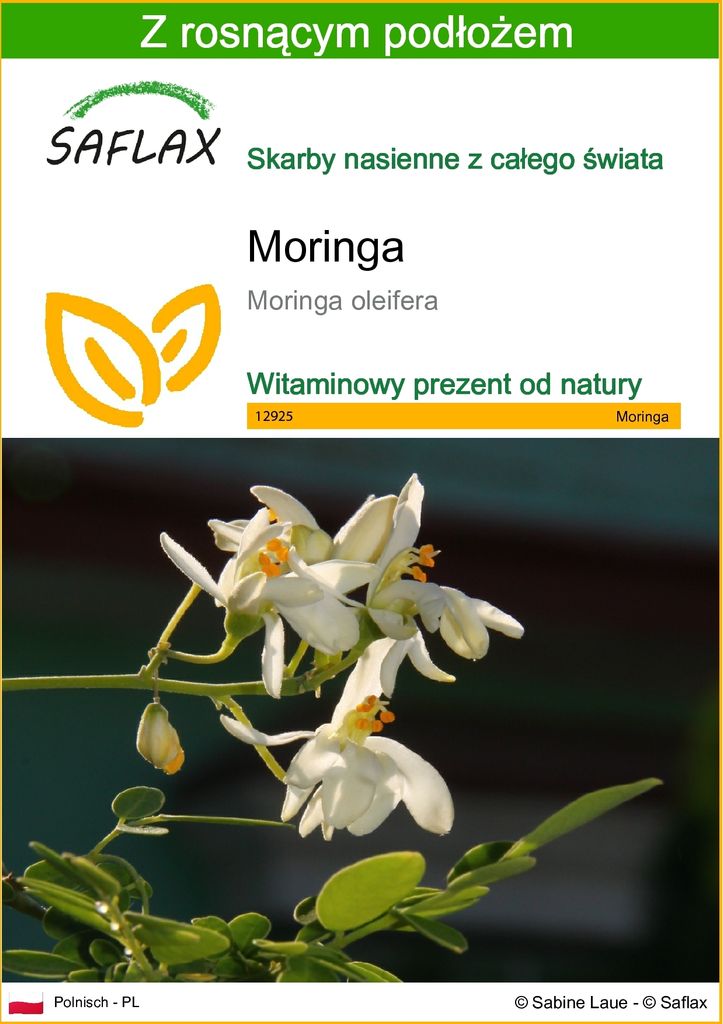 SAFLAX - Moringa - 10 Nasiona - Z podłożem uprawowym wolnym Zdjęcie produktu 