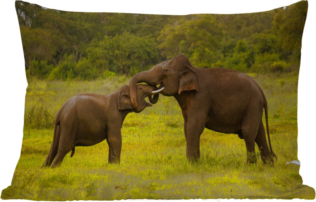 MuchoWow Outdoor Kissen - Elefant - Gras - Tiere - Grün - 50x30 cm - Wetterfest - Lounge Kissen - Sofa kissen - Wohnzimmer Dekoration