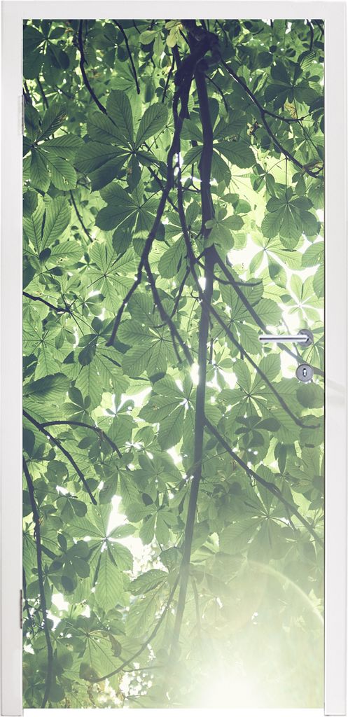 MuchoWow Türtapete Selbstklebende Türfolie Zweige im Sonnenlicht 90x205 cm Türposter Türaufkleber Klebefolie Türklebefolie - Türaufklebern