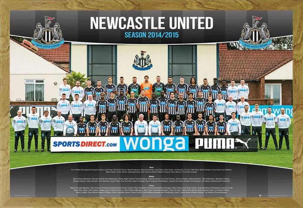 Poster Newcastle United Photo Équipe 14/15 avec Cadre Chêne Shinsuke