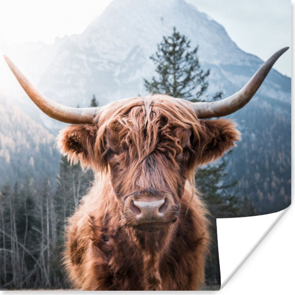 MuchoWow Poster Schottische Highlander - Berge - Landschaft 75x75 cm - Wand Dekoration