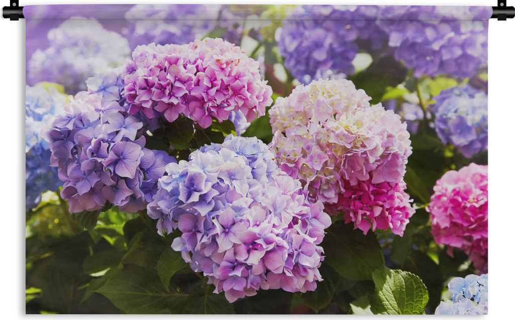MuchoWow Wandteppich Wandbehang Blumen - Hortensie - Rosa - Blätter - Sonne 60x40 cm Tapisserie Dekoration Wandtuch - Wanddekorationen