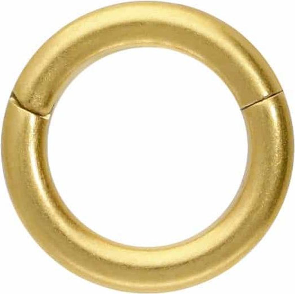 Ohrpiercing, Nasenpiercing, Septum Piercing Titan Segmentring Clicker MATT Gold Innendurchmesser: 5mm + Stabstärke: 1,2mm
