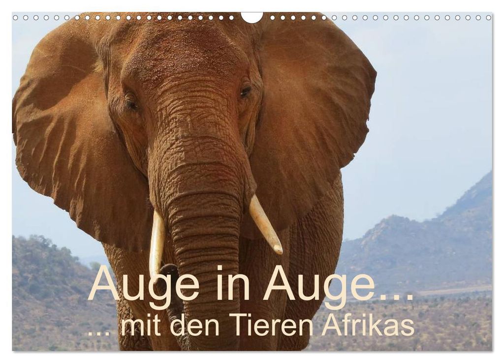 Auge in Auge mit den Tieren Afrikas (Wandkalender 2027 DIN A3 quer), CALVENDO Monatskalender