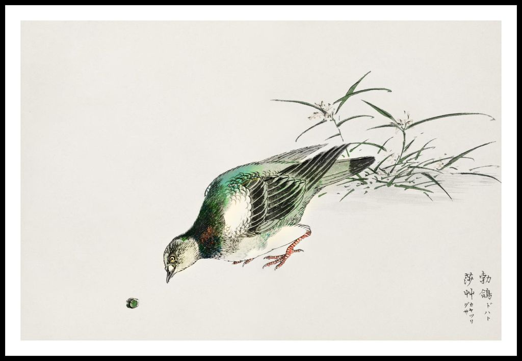 Plakat 91,5x61cm Turteltaube, Japanischer Vintage Kashu für das Wohnzimmer