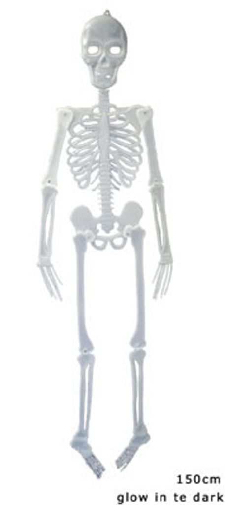 Skelett 150 cm | Halloween-Deko Produktbild 
