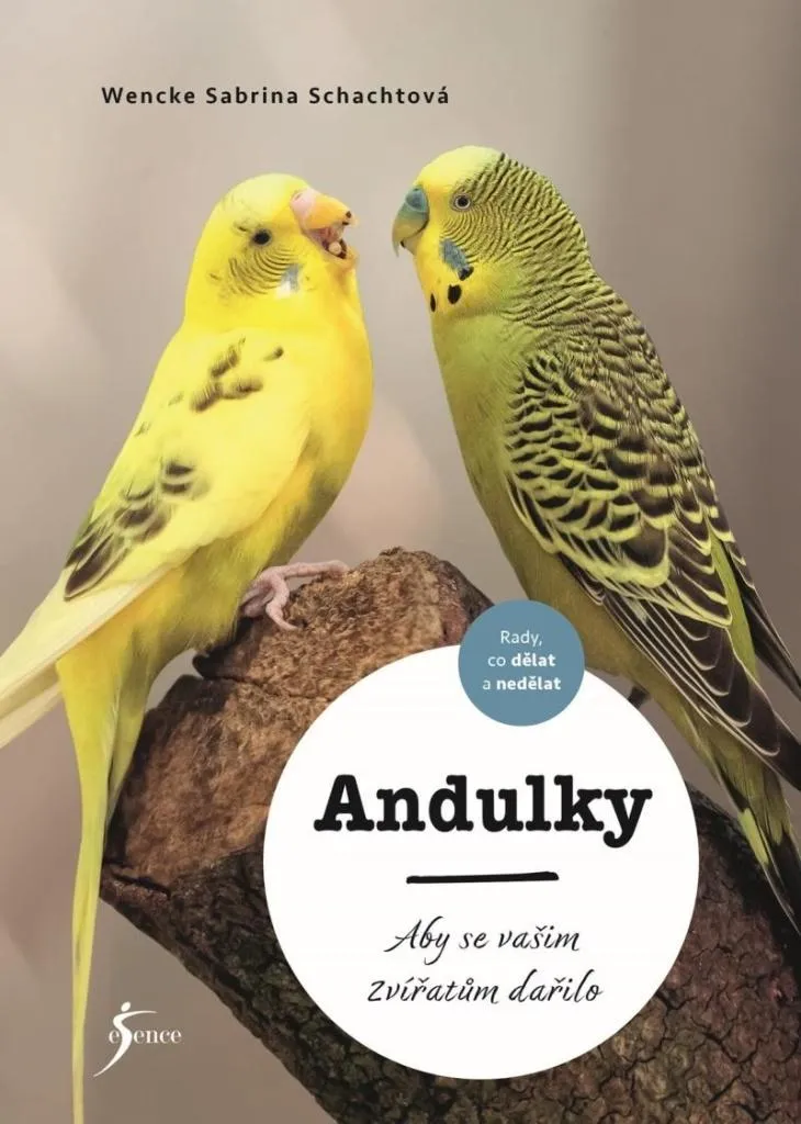 Livre sur les perruches : conseils d'expert pour des oiseaux heureux