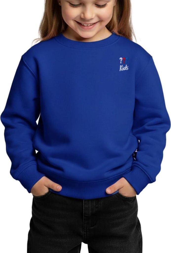 Spreadshirt Die Drei Fragezeichen Kids Logo Stick Kinder/Teenager Premium Pullover, 158/164 (12 Jahre), Royalblau