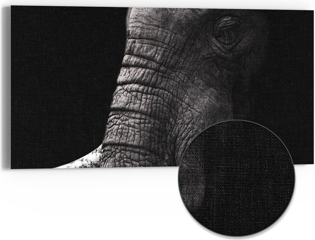 DEQORI Hybrid Leinwand Bild 60x30 cm 'Weisheit der Wildnis' Wandbild Glas flach modern