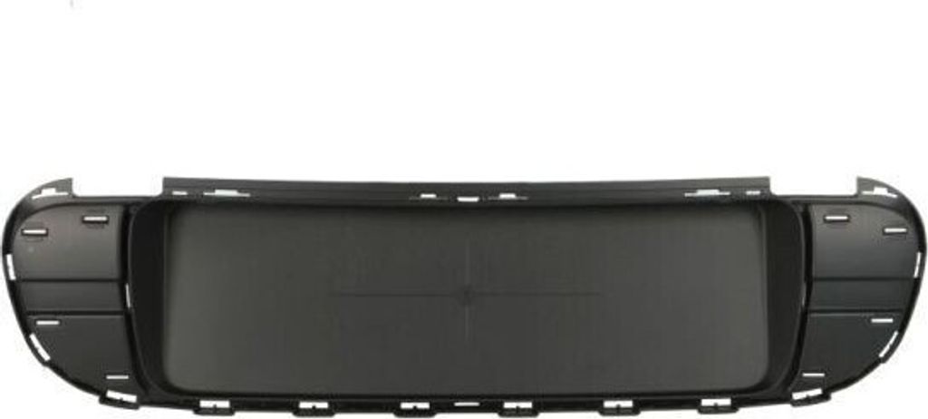 BLIC Kennzeichenhalter Nummernschildhalter für MINI Countryman (R60)