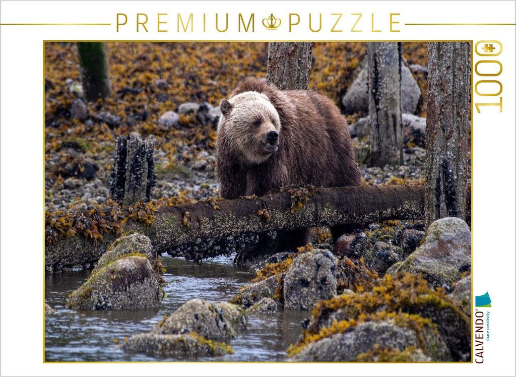 CALVENDO Puzzle Erste Nahrungssuche | 1000 Teile Lege-Größe 64x48cm Foto-Puzzle für glückliche Stunden