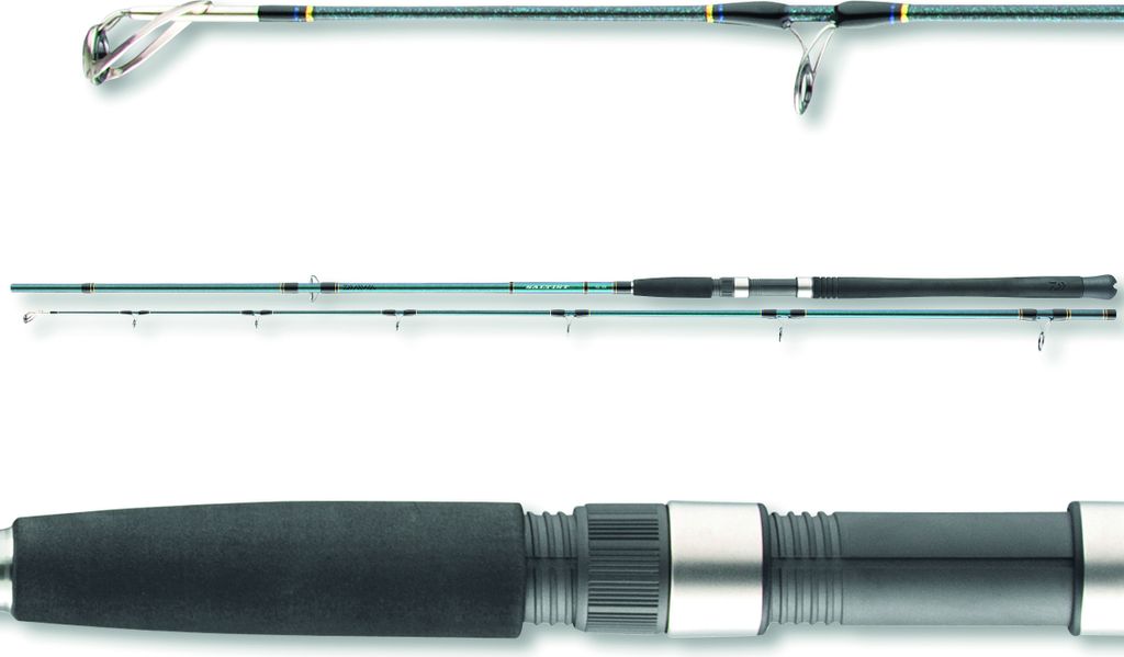 Daiwa Saltist Sea Pilkrute, WG g:40-110, Länge m:2.70