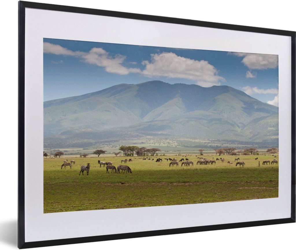 MuchoWow MuchoWow Gerahmtes Poster Wilde Tiere grasen in der Savanne des Serengeti-Nationalparks 60x40 cm - Poster mit zchwarzem Bilderrahmen -...