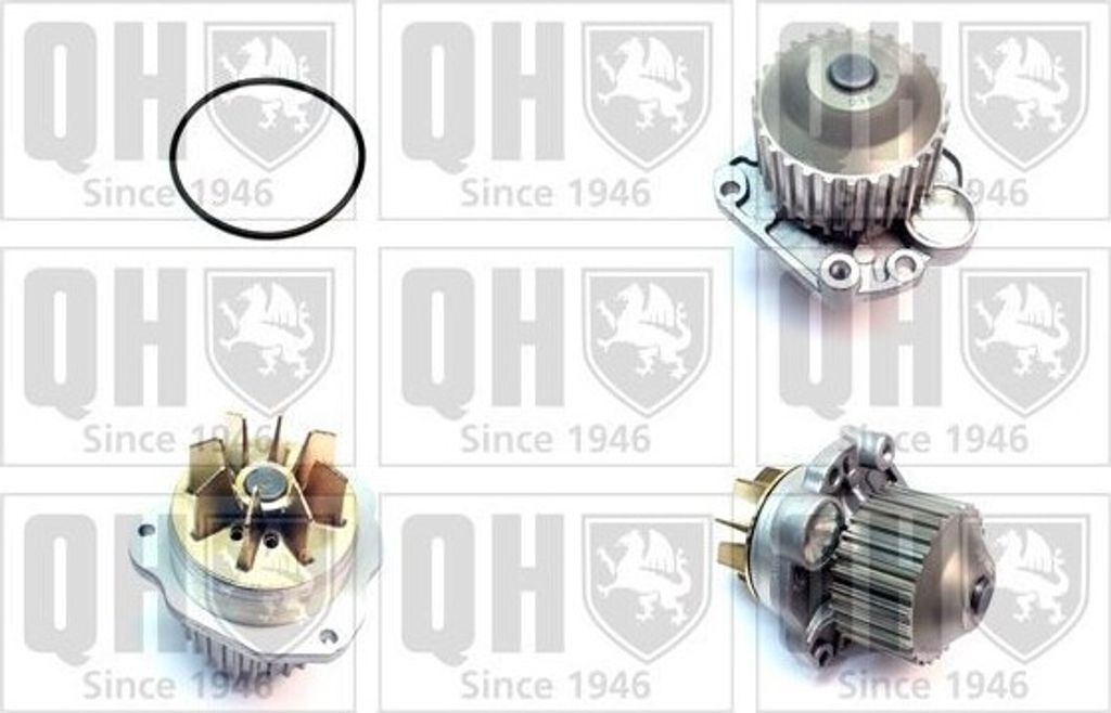 QUINTON HAZELL Kühlmittelpumpe Wasserpumpe für RENAULT ESPACE III (JE0) QCP3606