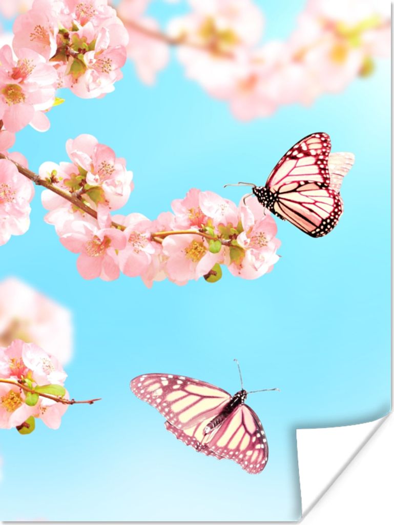 MuchoWow Poster Schmetterlinge - Baum - Blumen 90x120 cm - Wohnzimmer