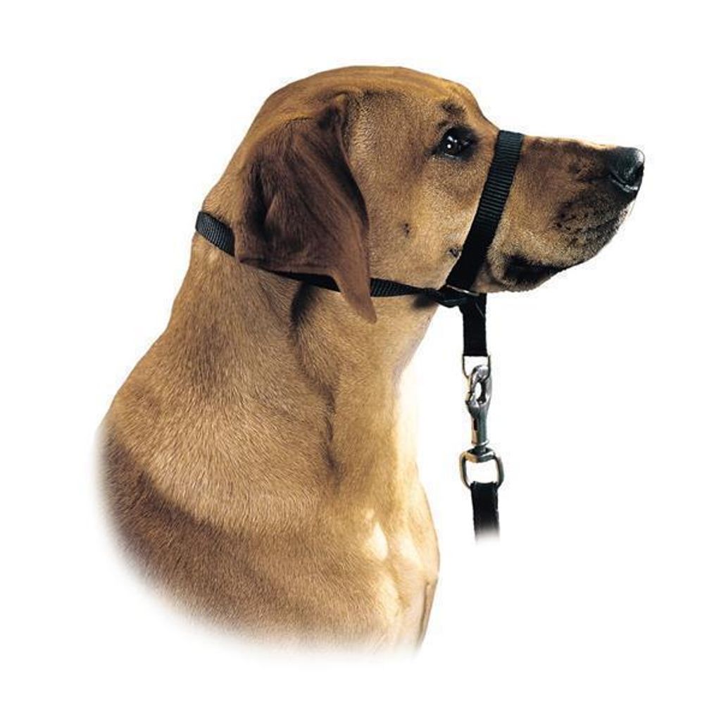 HUNTER Ausbildungsgeschirr Follow Me M/2 Produktbild 