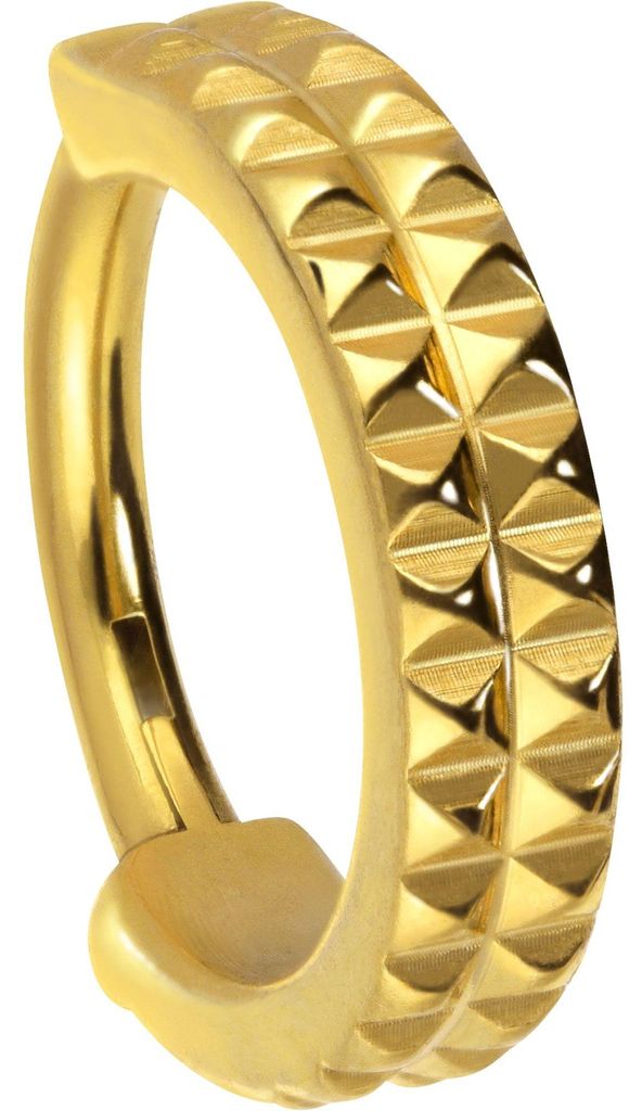 Ohrpiercing, Nasenpiercing, Septum Piercing Titan Segmentring Clicker NIETEN Gold Innendurchmesser: 10 mm
