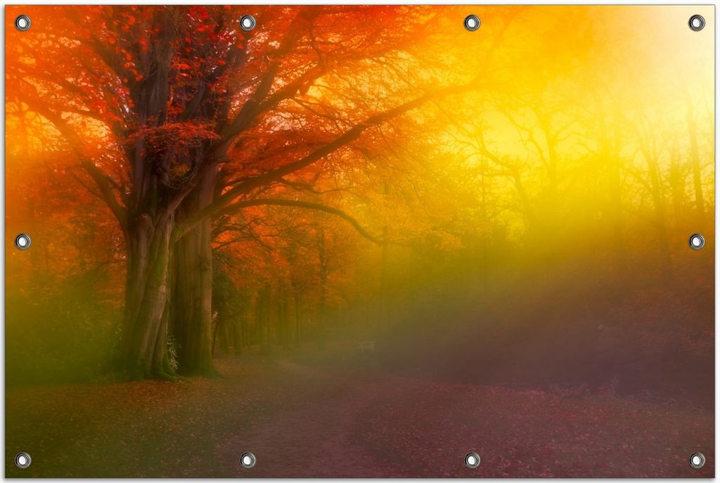 Wallario Outdoor-Poster für Garten oder Balkon, Motiv Bunter Herbst - Waldlandschaft bei Nebel in Regenbogenfarben, in ca. 80 x 120 cm