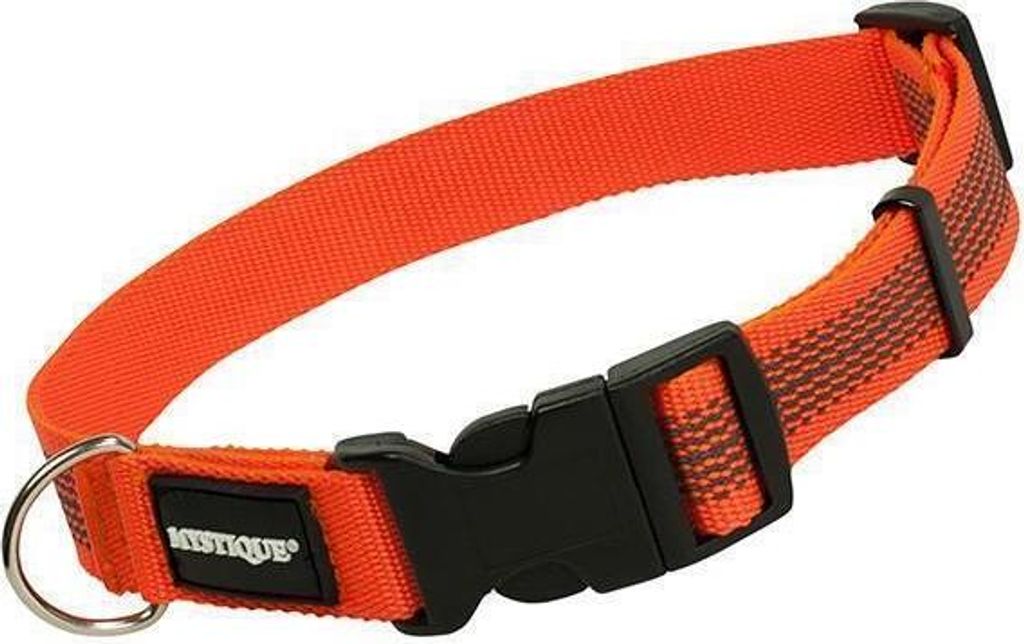 Mystique Gummiertes Halsband 25mm 40-50cm orange