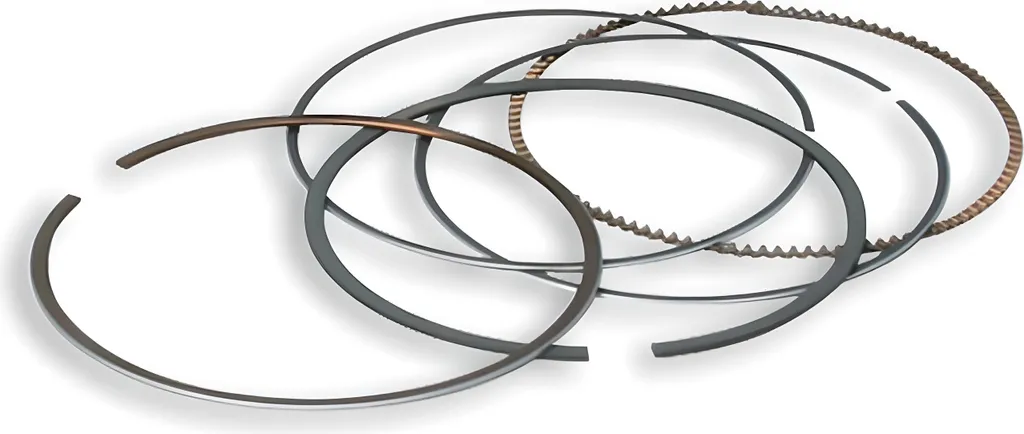 Segments Malossi Ø 70mm haute performance trapézoïdal et racleurs huile