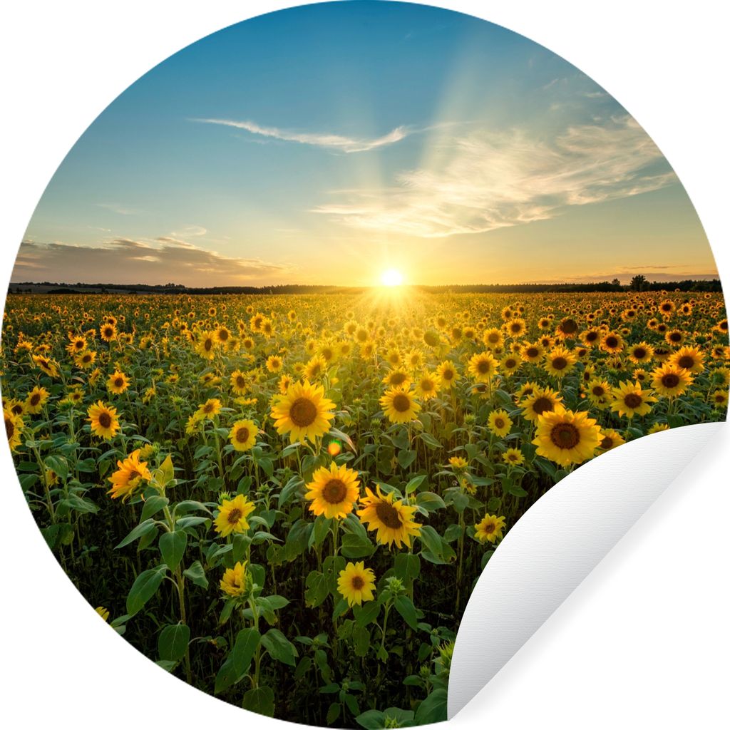 MuchoWow Runde Wandtattoo - Wandsticker Tapete Aufkleber Sonnenuntergang - Blumen - Sonnenblume - Horizont - Landschaft Ø 30 cm Selbstklebend un...