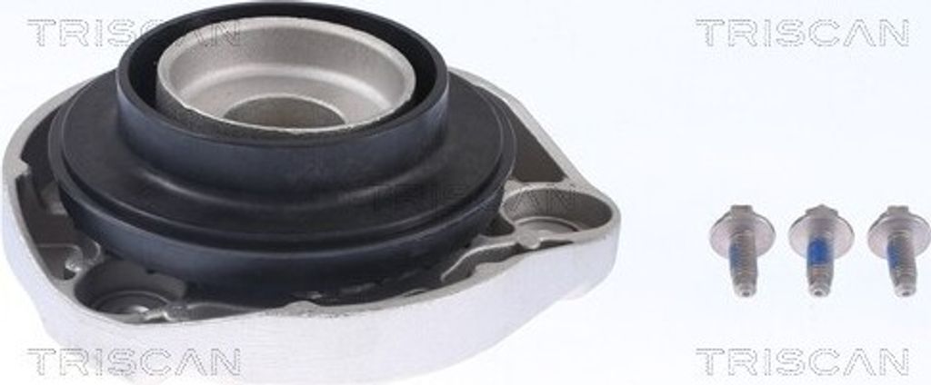 Federbeinstützlager