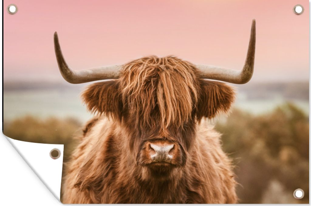 MuchoWow 120x80 cm Outdoor-Poster Gartendeko Sichtschutz Garten Poster für den Garten Kuh - Schottischer Highlander - Tier